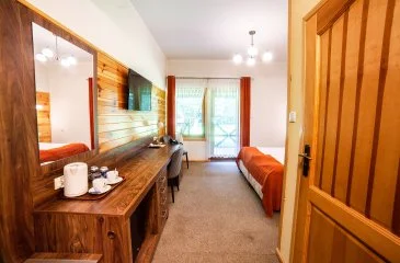 Comfort Plus ნომერი დასასვენებელი ადგილით